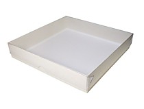 Коробка белая 20*20*3 см 100 шт